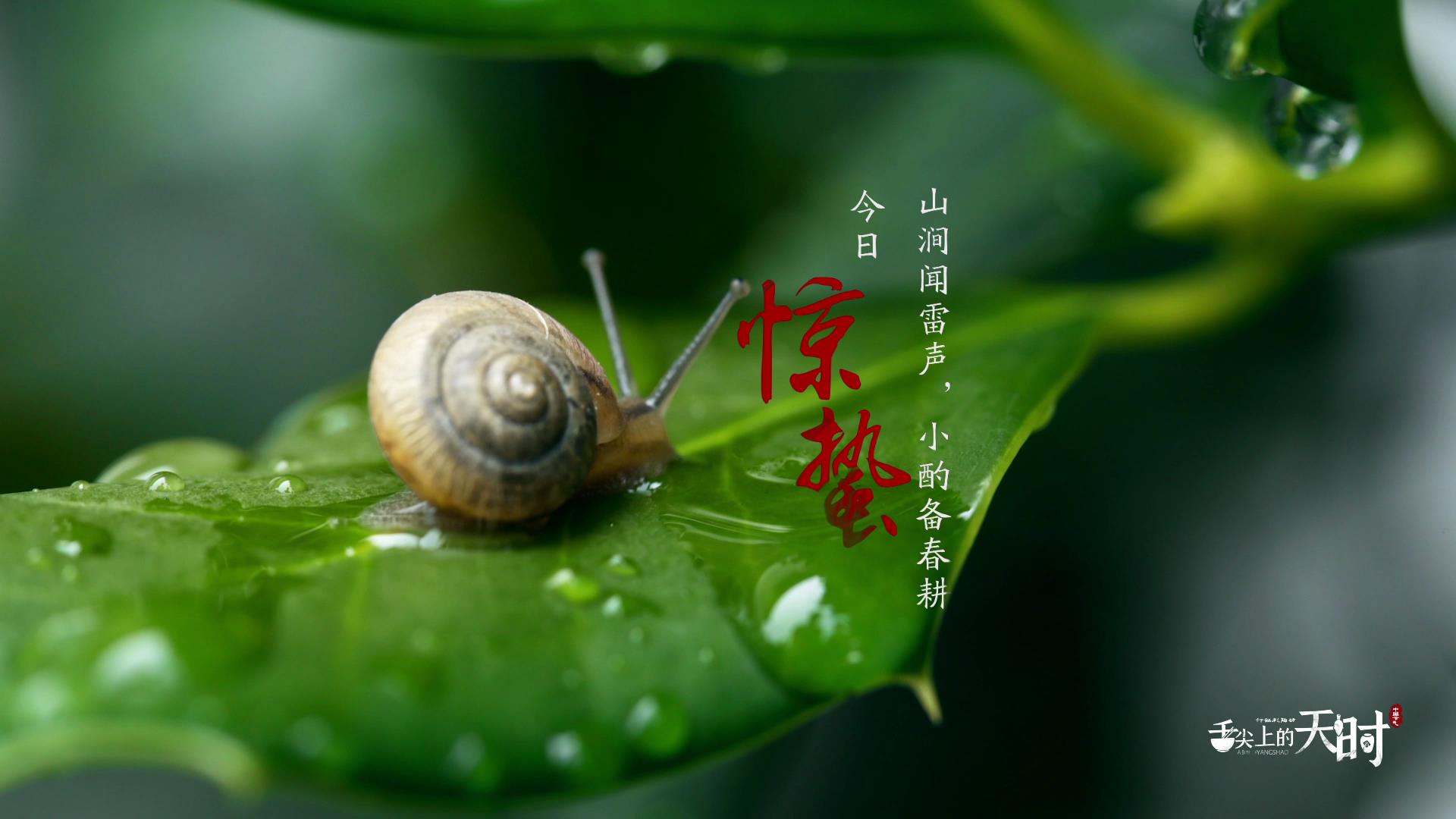 &#19975;&#35937;&#22478;&#22312;&#32447;&#45;&#19975;&#35937;&#22478;&#65288;&#20013;&#22269;&#65289;